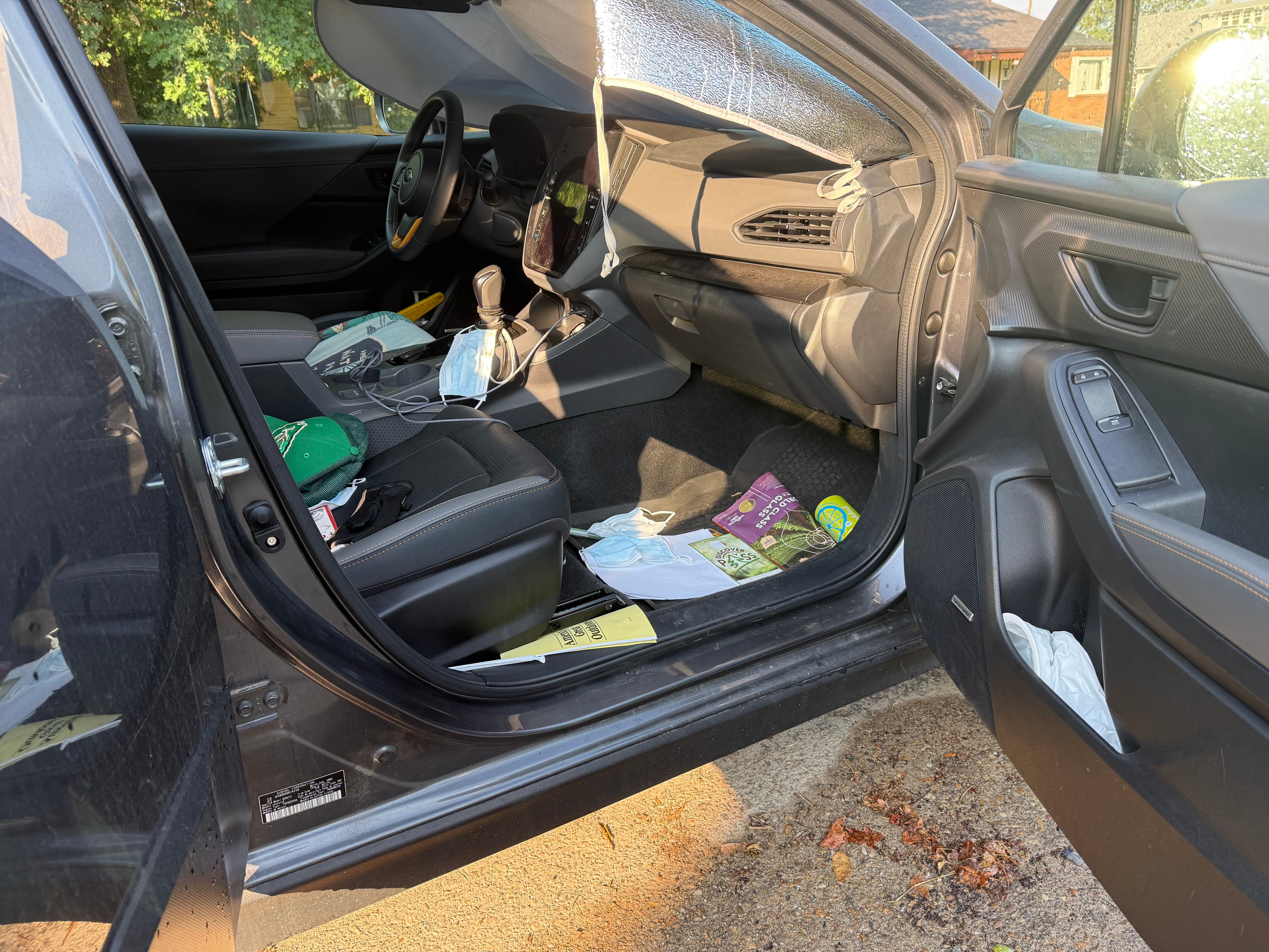 Exterior Detail - before detailing